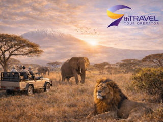 Дика природа Африки, сучасні міста та океанські узбережжя зима 2026